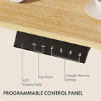 FLEXISPOT EN1 One-Piece Standing Desk - Image 4