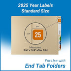 2025 Year Labels, Doctor Stuff 2025 Chart Stickers, Reynolds & Reynolds Style - Image 5