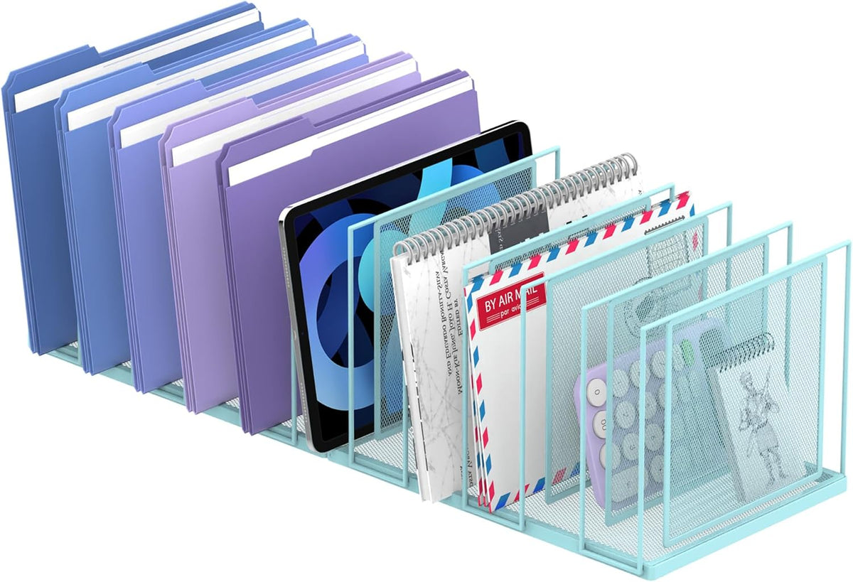 File Organizer for Desk, 11-Section Vertical File Sorter, Paper Holder Organi...