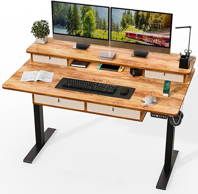 Kingant 55 x 30 Inch Electric Standing Desk by KINGANT
