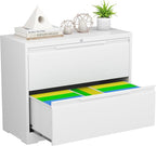 LONGLINK 2 Drawer Lateral File Cabinets by MetalStorageCabinet