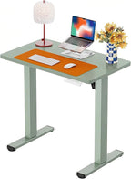 ErGear Height Adjustable Electric Standing Desk, 31.5 x 18.9 Inches Sit Stand by ErGear
