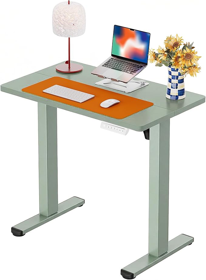 ErGear Height Adjustable Electric Standing Desk, 31.5 x 18.9 Inches Sit Stand by ErGear