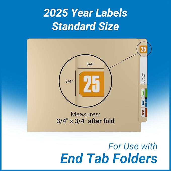 2025 Year Stickers, Doctor Stuff 2025 Chart Stickers, Safeguard Style Ringbook - Image 5