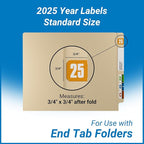 2025 Year Stickers, Doctor Stuff 2025 Chart Stickers, Safeguard Style Ringbook - Image 5