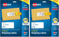 Avery Shipping Labels, 2" x 4", White, 250 Labels | Sure Feed Technology | Pack of 2 | Model 8163