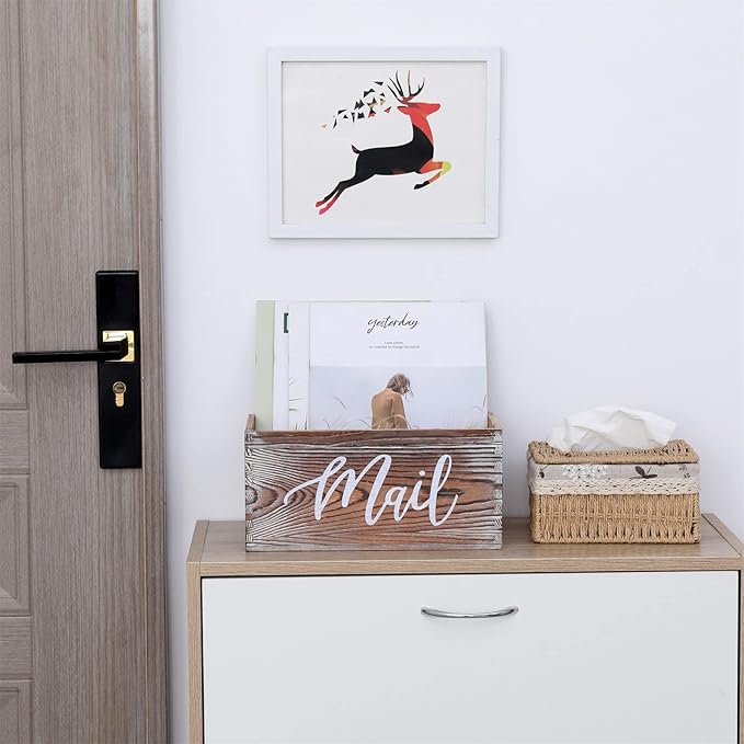CFYACFY Mail Organizer Magazine Countertop Mail Storage Organizer - Image 2