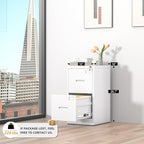INTERGREAT 2 Drawer File Cabinet, Lockable Vertical File Office Cabinet - Image 4