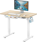SHW 40-Inch Electric Height Adjustable Standing Desk
