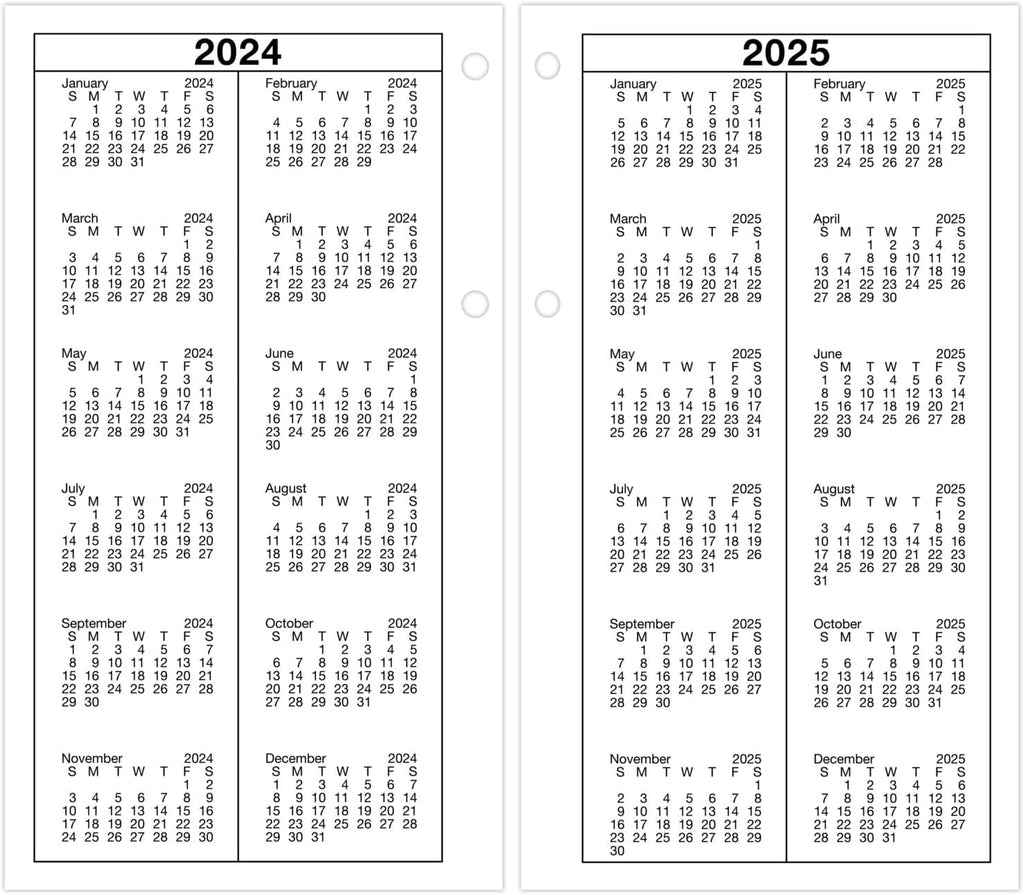 AT-A-GLANCE 2025 Desk Calendar Refill, Daily, 4-1/2" x 8", Large, Loose-Leaf (E2105025)