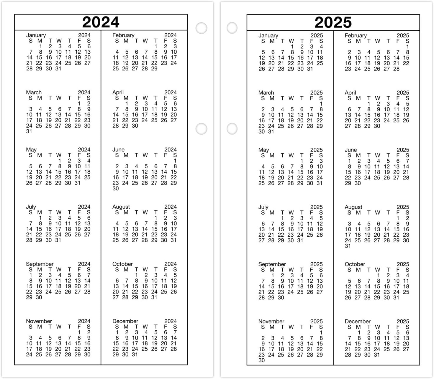 AT-A-GLANCE 2025 Desk Calendar Refill, Daily, 4-1/2" x 8", Large, Loose-Leaf (E2105025)