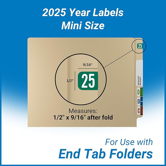 MINI 2025 Year Stickers, Doctor Stuff 2025 Chart Stickers, Tab 1287 Style - Image 5