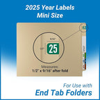 MINI 2025 Year Stickers, Doctor Stuff 2025 Chart Stickers, Tab 1287 Style - Image 5