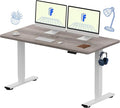 FLEXISPOT EN1 One-Piece Standing Desk by FlexiSpot