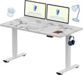 FLEXISPOT EN1 One-Piece Standing Desk by FlexiSpot