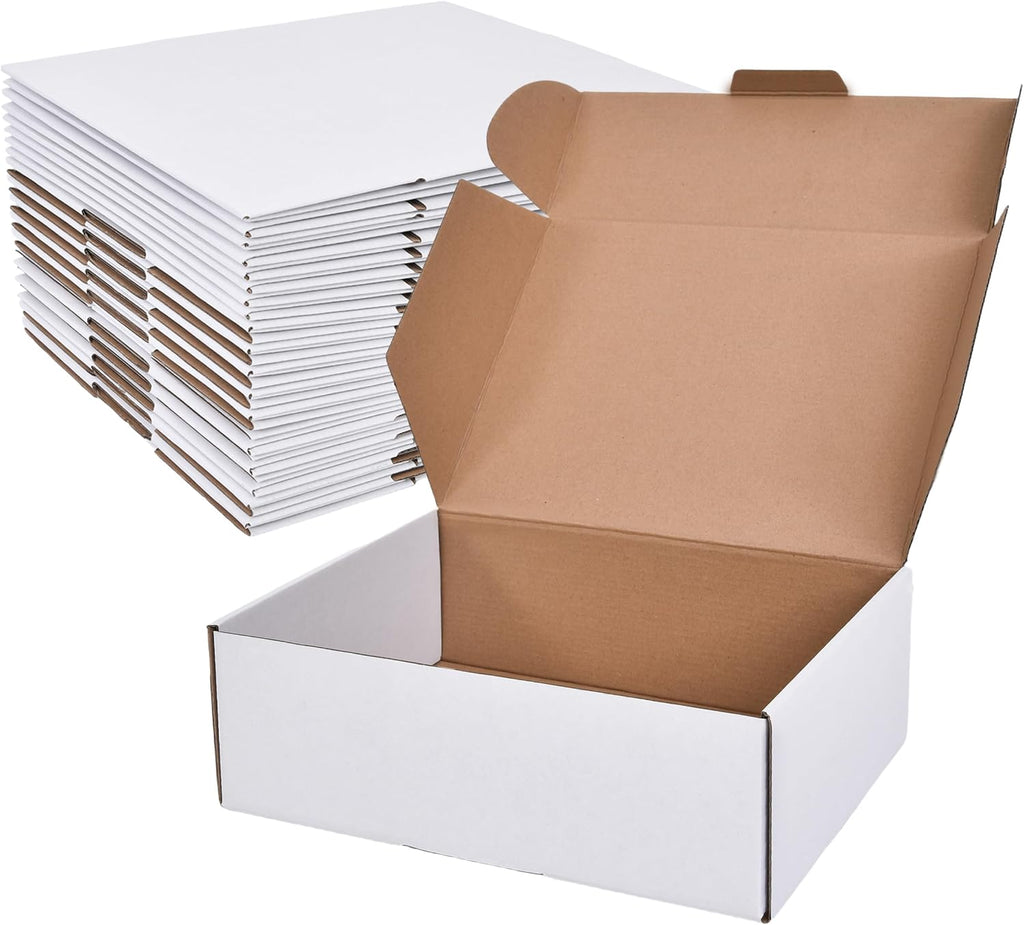 WINHPH Shipping Boxes Set of 20, Literature Mailer Box Packaging Supplies