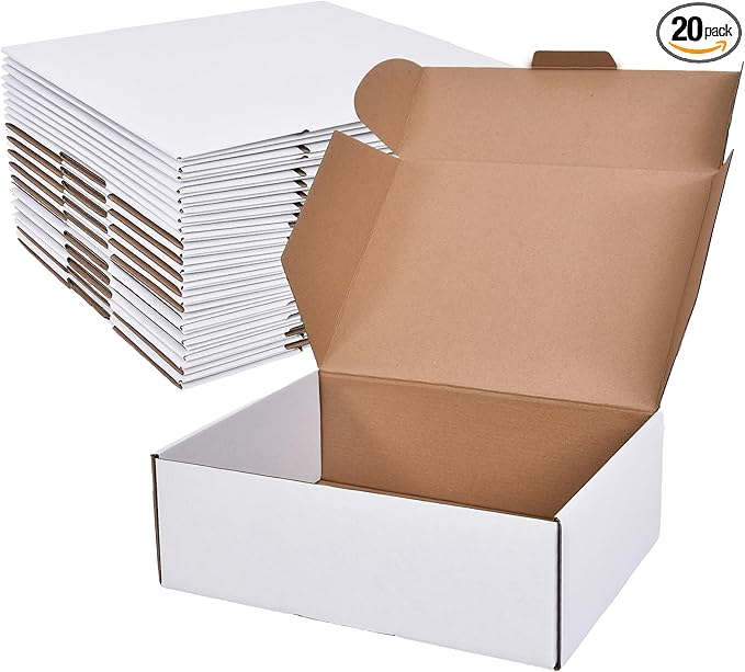 WINHPH 12x9x4 Inches Shipping Boxes Set of 20, Literature Mailer Box Packaging by Unknown