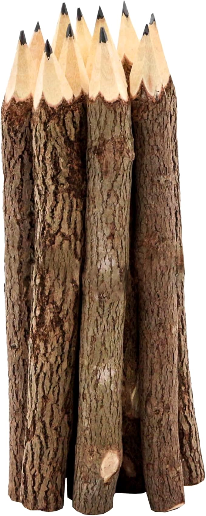 BSIRI Natural Twigs Wooden Pencils Handcrafted Suitable - Image 2