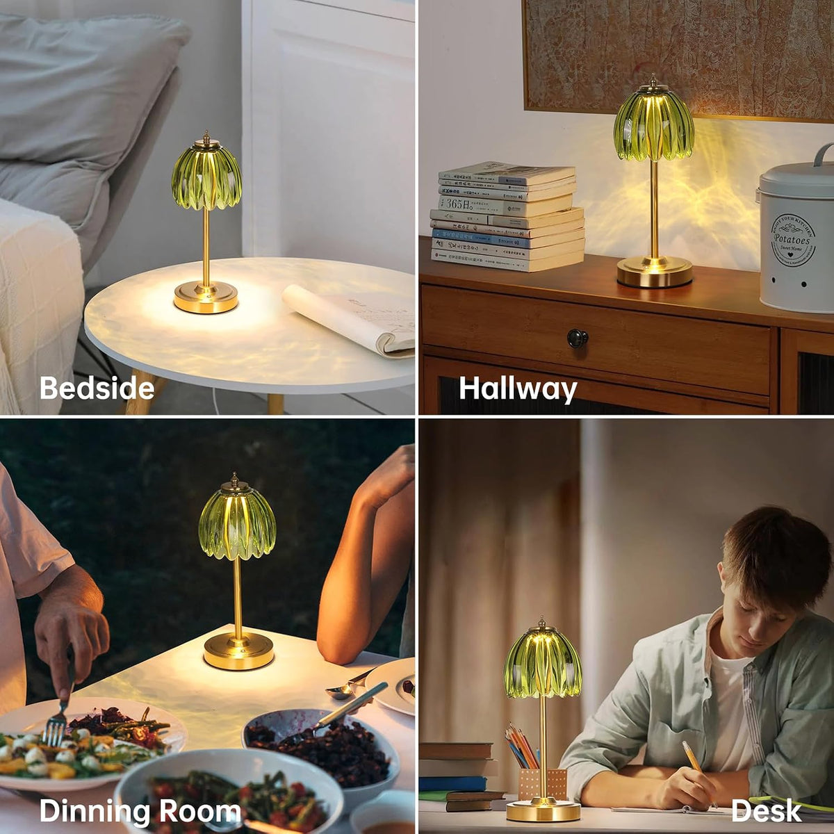 Shenmoyl Tulip Table Lamp with 5000mAh Battery & Touch Control, Cordless ...