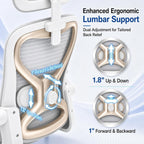Ergonomic Office Chair for Back & Neck Pain Relief, Virgin Foam Seat, 2D Adjustable Lumbar & 3D Headrest, Tilt & Rock for Relaxation, Ideal for Long Sitting Comfort, White/Gold