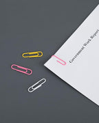 PAPERPAL Paperclips for Office School & Personal Use, Duo Size Vinyl Coated - Image 6