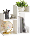 Aibiju Small White Desk Organizer, 2 Tier Tree Cactus Bookshelf, Desktop by Aibijusolidwoodfurniture