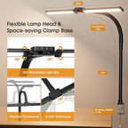 SIBRILLE LED Desk Lamp for Home Office - Image 4