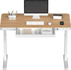 FLEXISPOT Electric Standing Desk by FlexiSpot