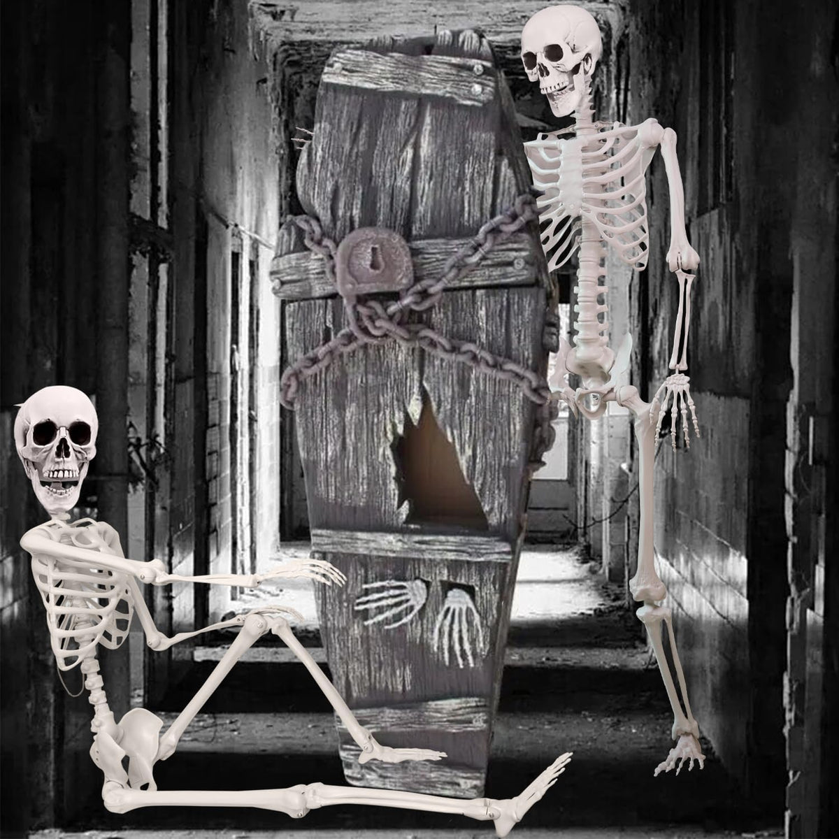 5.4 ft Halloween Skeleton Poseable Skeleton Life Size Skeleton Full Body Plas...