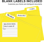 File Folder, RAZCC 100 Pack 1/3 Cut Tab File Folders Letter Size, Folders - Image 4