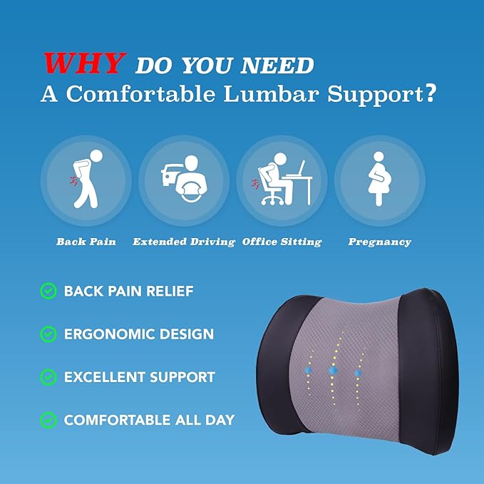 Lofty Aim Lumbar Support Pillow - Image 3