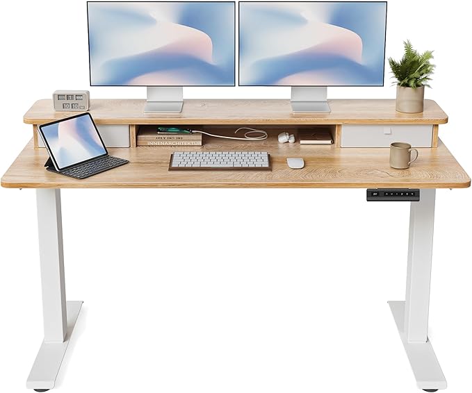FEZIBO 55 x 24 Inch Height Adjustable Electric Standing Desk by FEZIBO