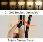 RISLG Floor Lamp, Dimmable Standing lamp, Stepless Dimming Brightness, Included - Image 2