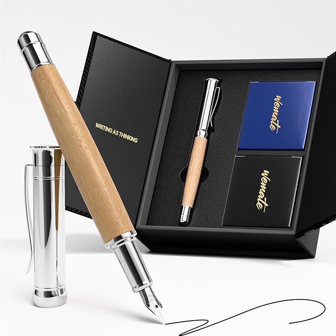 WEMATE Fountain Pen Set, Fine Nib, 1 Ink Converter, Smooth Writing, No Skips by WEMATE