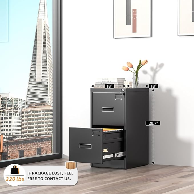 INTERGREAT 2 Drawer File Cabinet, Lockable Vertical File Office Cabinet - Image 4