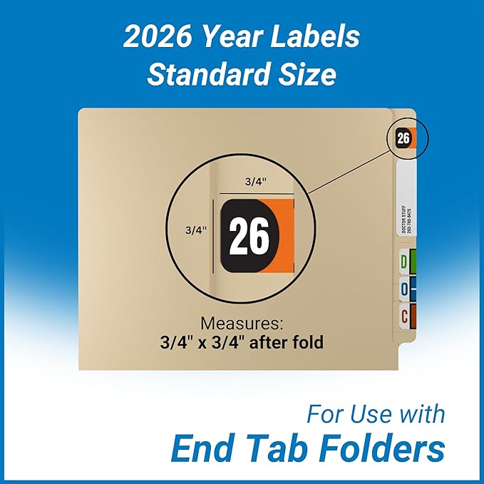 2026 Year Stickers, Doctor Stuff 2026 Chart Stickers, Arden Style, USA Made - Image 3