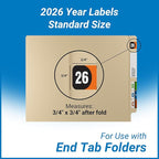 2026 Year Stickers, Doctor Stuff 2026 Chart Stickers, Arden Style, USA Made - Image 3