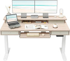 FEZIBO 55'' x 24" Height Adjustable Electric Standing Desk by FEZIBO