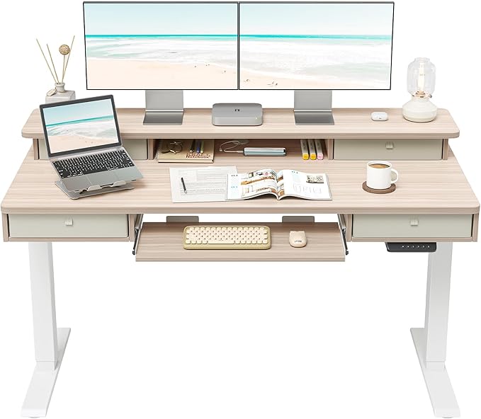 FEZIBO 55'' x 24" Height Adjustable Electric Standing Desk by FEZIBO