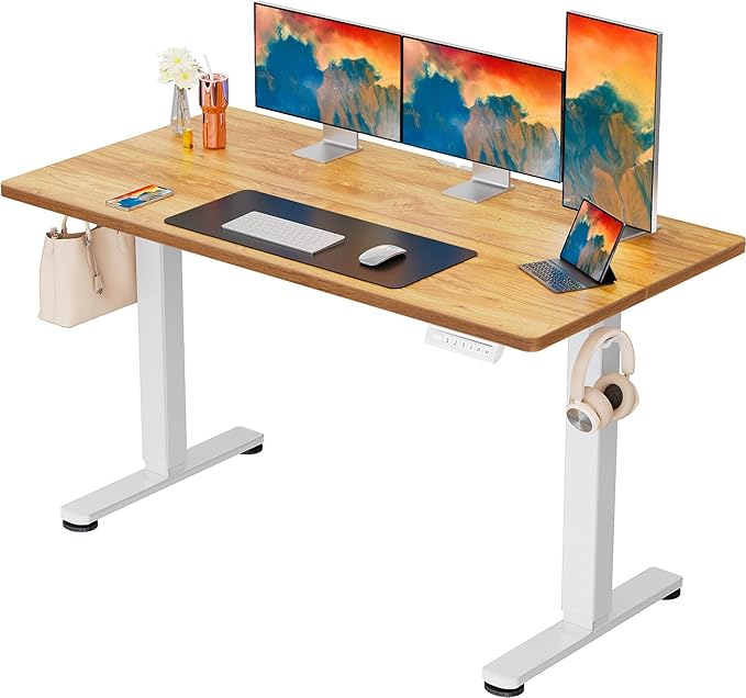 ErGear Height Adjustable Electric Standing Desk, 63 x 28 Inches Sit Stand up by ErGear