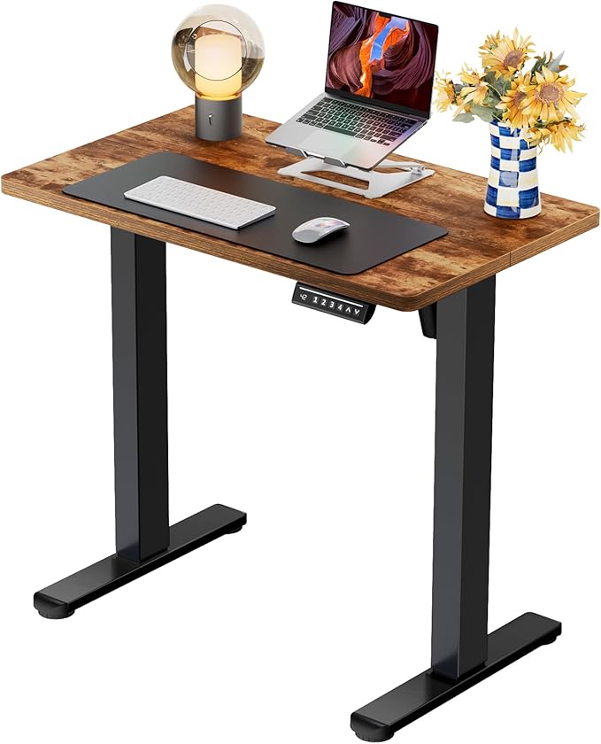 ErGear Height Adjustable Electric Standing Desk, 31.5 x 18.9 Inches Sit Stand by ErGear