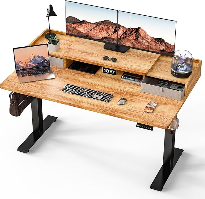 Kingant 55 x 30 Inch Electric Standing Desk by KINGANT