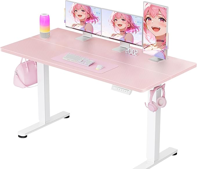 ErGear Height Adjustable Electric Standing Desk, 55 x 27.5 Inches Sit Stand up by ErGear
