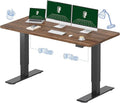 FLEXISPOT 63x28 Inch Large Dual Motor Electric Standing Desk, Creative Studio by FlexiSpot