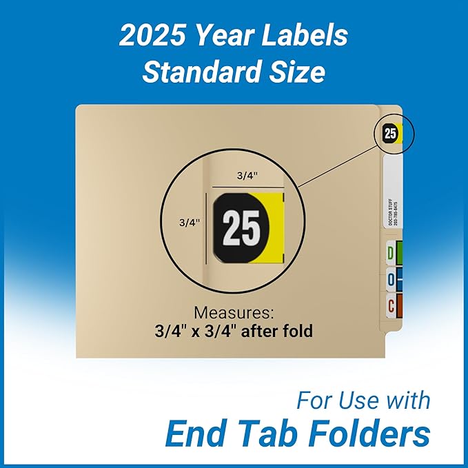2025 Year Stickers, Doctor Stuff 2025 Chart Stickers, Arden Style, USA Made - Image 5