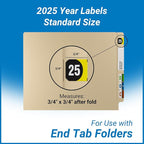2025 Year Stickers, Doctor Stuff 2025 Chart Stickers, Arden Style, USA Made - Image 5