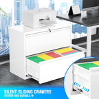 Greenvelly 2 Drawer File Cabinet, Metal Filing Cabinet - Image 4