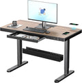 ERGO COLLECT Electric Standing Desk 48 Inch by ERGOCOLLECT