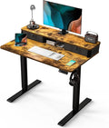 Kingant 40 x 24 Inch Electric Standing Desk by KINGANT
