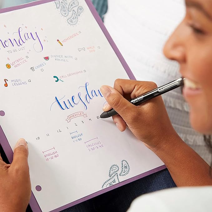 Paper Mate Pens Variety Pack, InkJoy Retractable Gel Pens, Flair Felt Tip - Image 3
